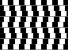 Café Wall Illusion
