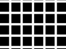 Hermann Grid Illusion