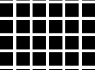 Hermann Grid Illusion