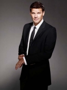 David Boreanaz Picture 7