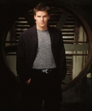 David Boreanaz Picture 8