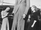 Robert Wadlow