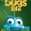 Bugs Life