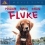 Fluke