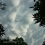 Mammatus Clouds