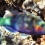 Parrotfish