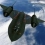 SR-71 Blackbird