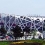 Beijing National Stadium