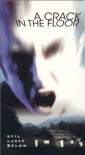 a_crack_in_the_floor_image.jpg