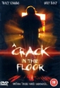 a_crack_in_the_floor_picture1.jpg