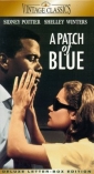 a_patch_of_blue_photo.jpg