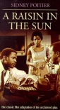 a_raisin_in_the_sun_image.jpg