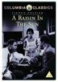 a_raisin_in_the_sun_img.jpg