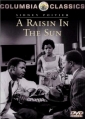 a_raisin_in_the_sun_photo.jpg