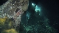 aliens_of_the_deep_image.jpg