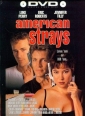 american_strays_image1.jpg