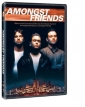 amongst_friends_img.jpg