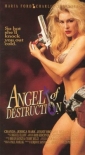 angel_of_destruction_picture.jpg