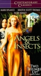 angels_and_insects_img.jpg