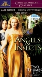 angels_and_insects_pic.jpg
