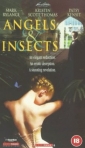 angels_and_insects_picture1.jpg
