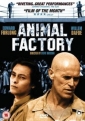 animal_factory_photo1.jpg