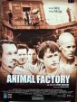 animal_factory_picture.jpg