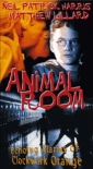 animal_room_picture.jpg