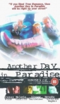 another_day_in_paradise_pic.jpg