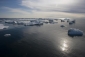 arctic_tale_picture1.jpg