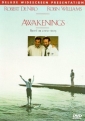 awakenings_photo1.jpg