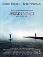 awakenings_picture.jpg