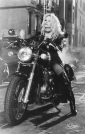 barb_wire_image1.jpg