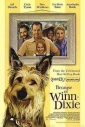 because_of_winn_dixie_photo.jpg