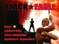 black_eagle_img.jpg