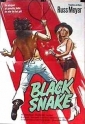 black_snake_image.jpg