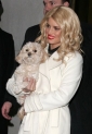 blonde_ambition_pic.jpg