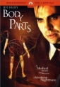 body_parts_img.jpg