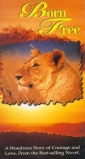 born_free_image1.jpg