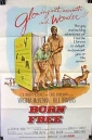born_free_picture.jpg