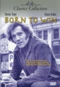 born_to_win_img.jpg