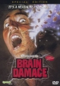 brain_damage_image.jpg