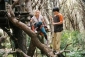 bridge_to_terabithia_photo.jpg