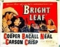 bright_leaf_image.jpg