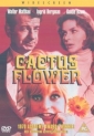 cactus_flower_picture1.jpg