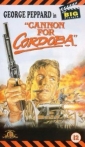 cannon_for_cordoba_pic.jpg