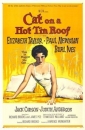 cat_on_a_hot_tin_roof_pic.jpg