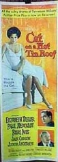 cat_on_a_hot_tin_roof_picture.jpg