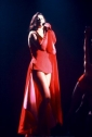 chain_of_desire_photo1.jpg
