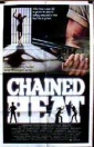 chained_heat_picture.jpg